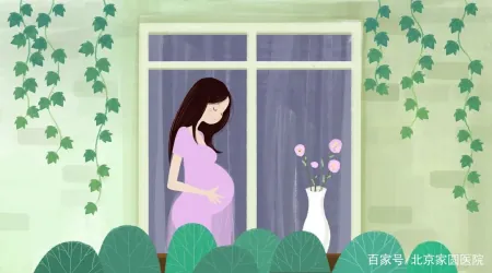 成都助孕怎么样（居然可以这样）